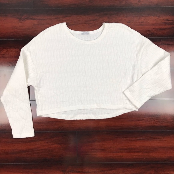 Zara | Tops | Zara Long Sleeve Crop Top 